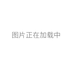 奥豪斯平台秤引坡800 DF-B CS